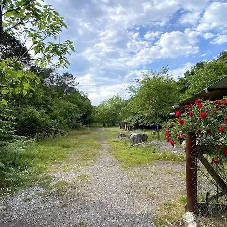 Maison Au Coeur De La Foret Prázdninový dům *